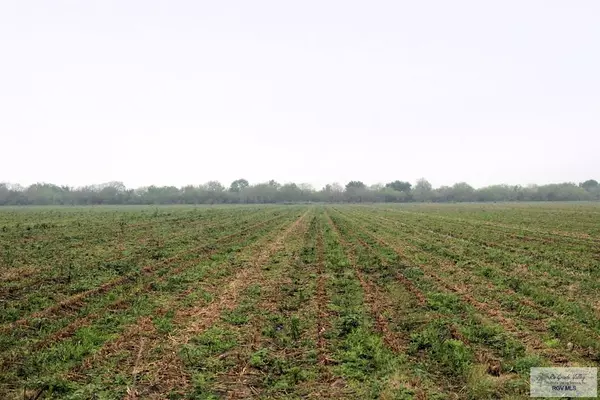 Santa Rosa, TX 78593,00 Fm 2556