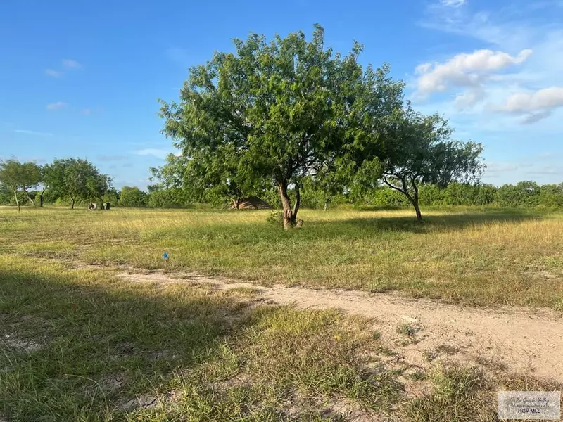 TBD Guiseppe Verdi, Brownsville, TX 78526