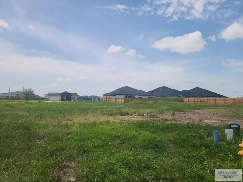 lot 29 Sylverter Palm Court, Brownsville, TX 78526