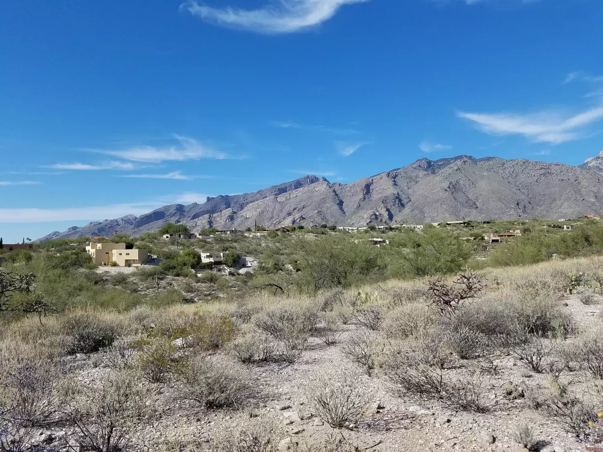 Tucson, AZ 85750,5590 N Cimarron Vista CT #93