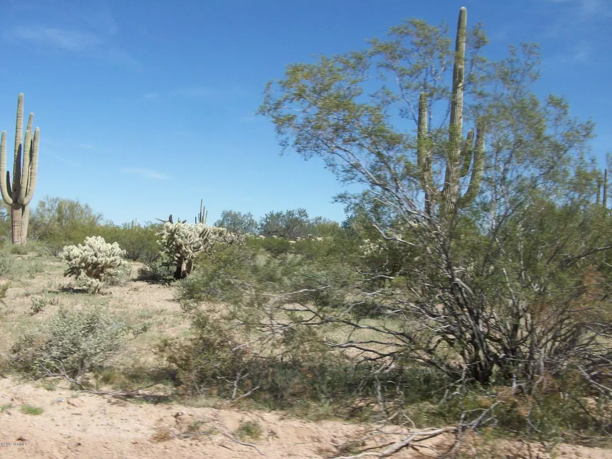 Marana, AZ 85658,E Park Link DR #0