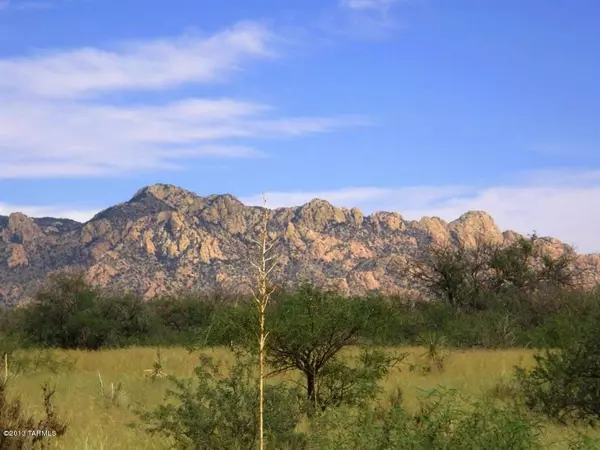 St. David, AZ 85630,Lot 53 E De Vaca CIR #53