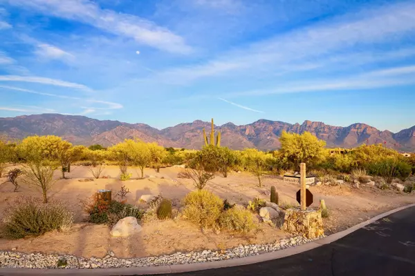 Oro Valley, AZ 85755,14 W Shimmering Sand PL #Lot 494