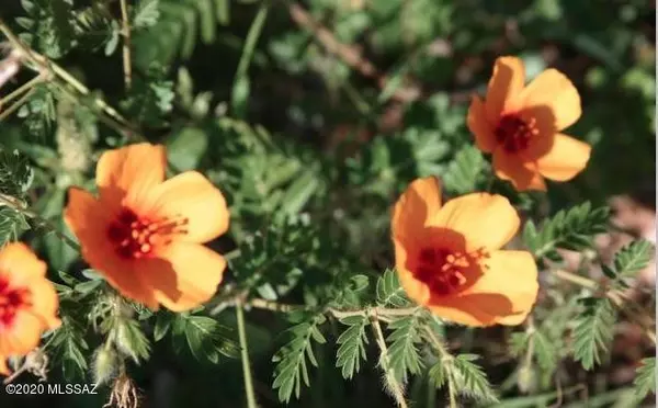 Vail, AZ 85641,00000 None Assigned 2