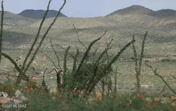 Vail, AZ 85641,00000 None Assigned 2