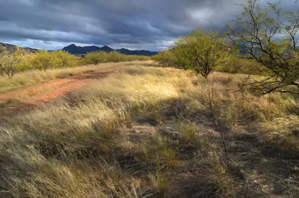 Address Not Disclosed