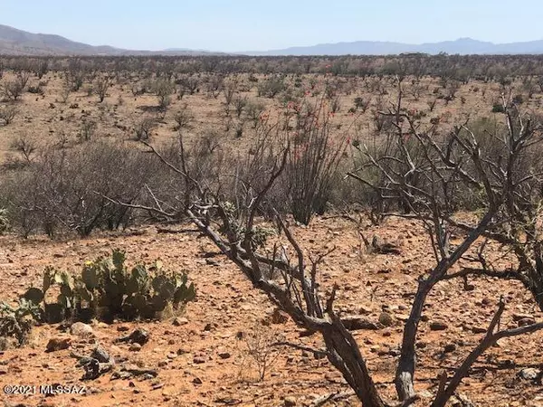 Tubac, AZ 85646,339 Camino Kennedy #80