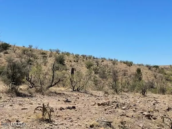 Rio Rico, AZ 85648,TBD Camino Brizza Bonell #40B