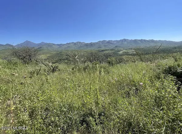 Rio Rico, AZ 85648,TBD Tejano Springs Rd #79