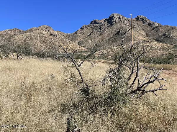 Rio Rico, AZ 85648,394 Esponja Ct #85