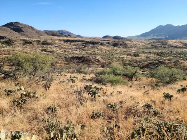 Rio Rico, AZ 85648,TBD Camino Tango #3