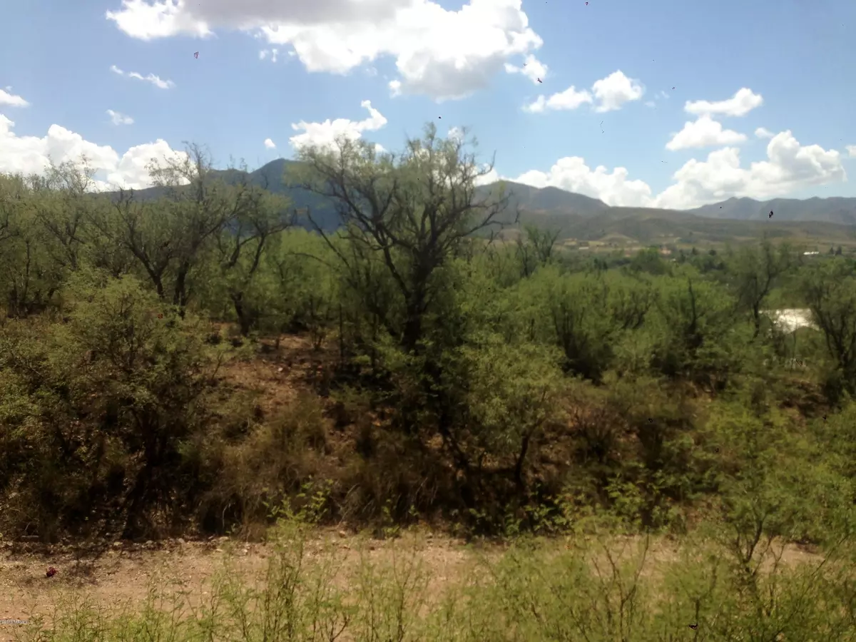 Patagonia, AZ 85624,TBD North AVE #7-17