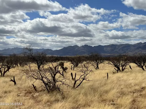 Tubac, AZ 85646,TBD Camino Nacozari/ Camino Talave #39