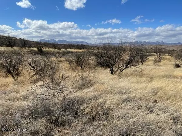 Rio Rico, AZ 85648,1121 Hebilla Ct. #66