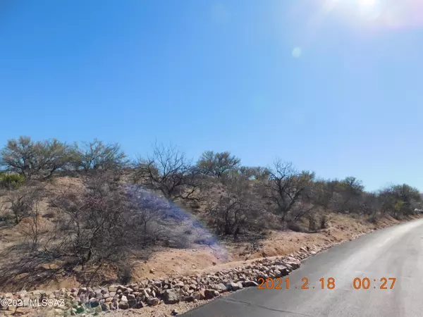 Tucson, AZ 85747,14215 E Ave Elena #42