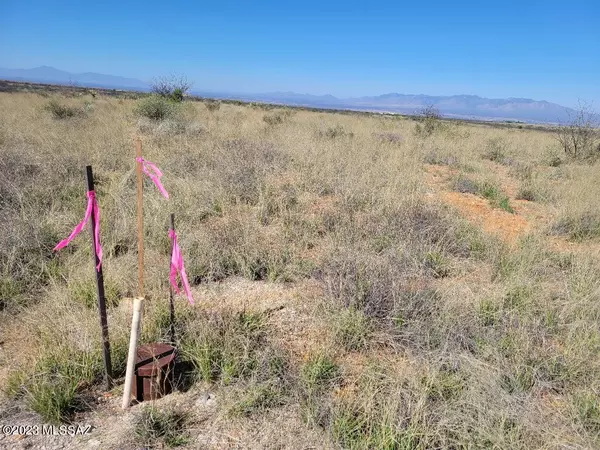 St. David, AZ 85630,Lot 46 Cochise TRL #3