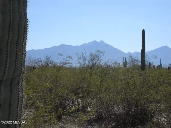 Sahuarita, AZ 85629,16116 S Wilmot RD #001C