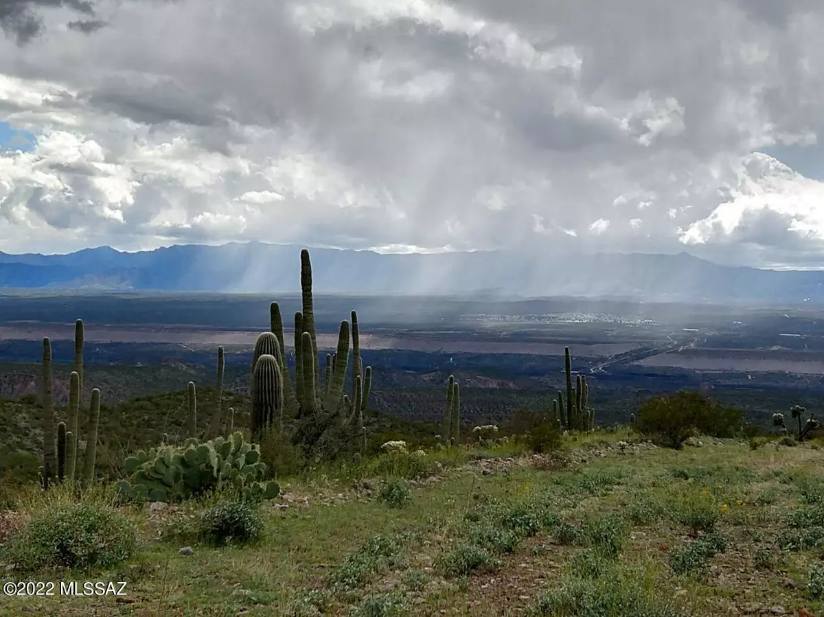 Mammoth, AZ 85618,20894 S River RD