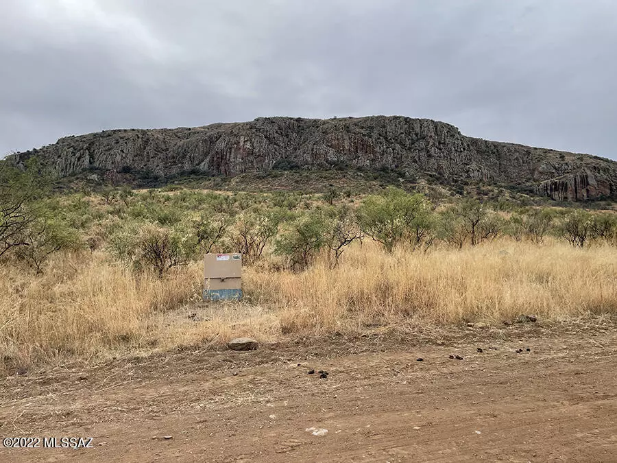 Rio Rico, AZ 85648,TBD Tejano Springs Rd #78
