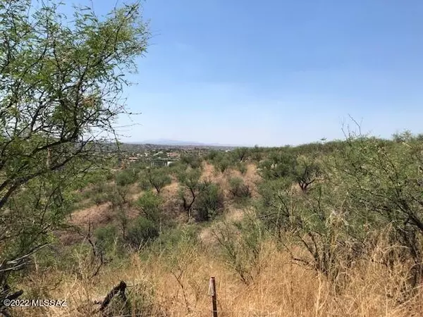 Rio Rico, AZ 85648,1059 Grocella CT #100
