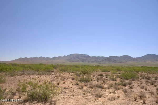 San Simon, AZ 85632,5.39 Acre Gila Monster Ct #B