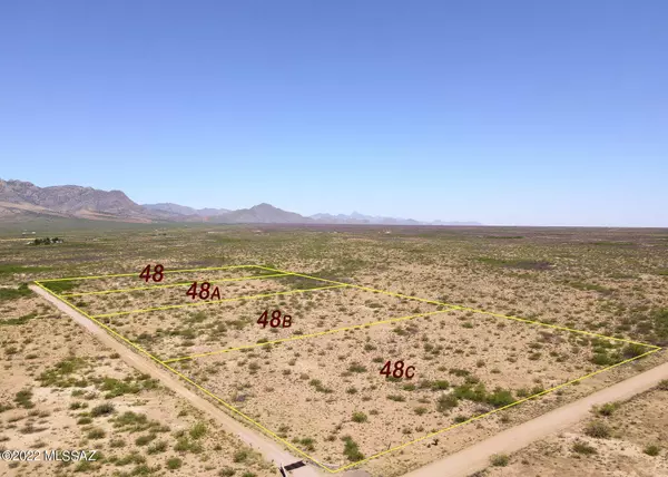 San Simon, AZ 85632,5.39 Acre Gila Monster Ct #B