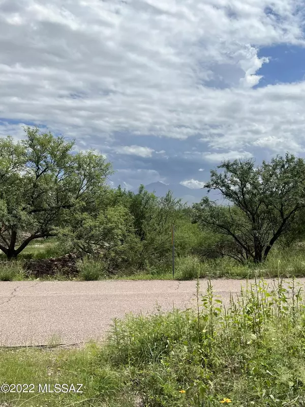 Tubac, AZ 85646,2248 Calle Palo Parado #87