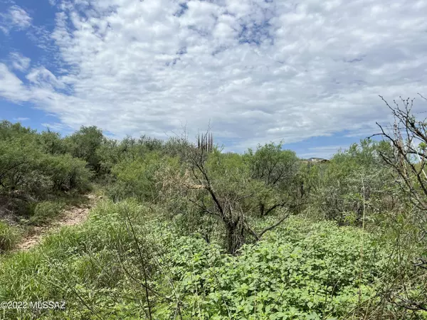 Tubac, AZ 85646,2248 Calle Palo Parado #87