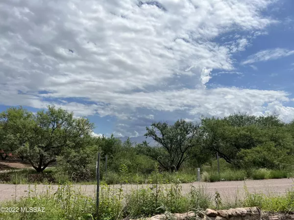 Tubac, AZ 85646,2248 Calle Palo Parado #87