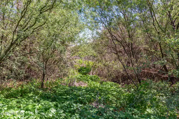 Tubac, AZ 85646,TBD Calle Balderrain #195