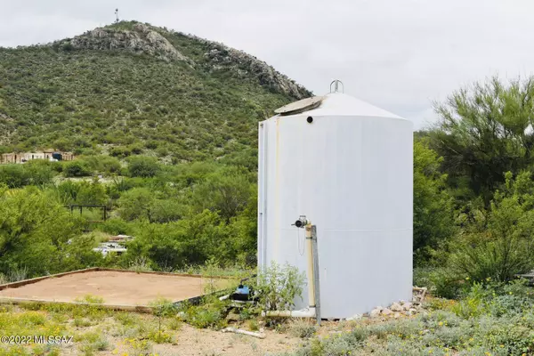 Sahuarita, AZ 85629,14725 S Avenida Red Roan C