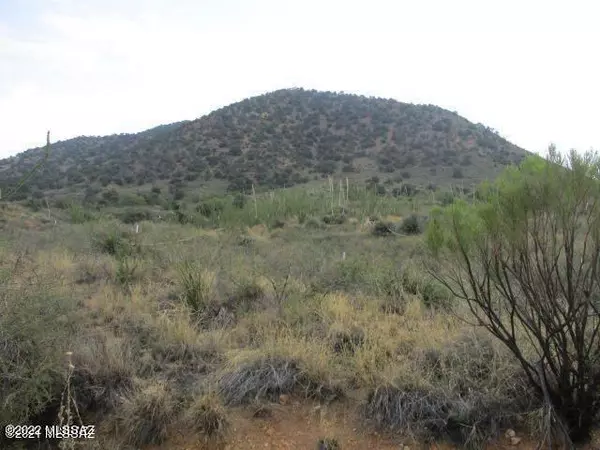 Tucson, AZ 85736,18655 S Sierrita Mountain RD