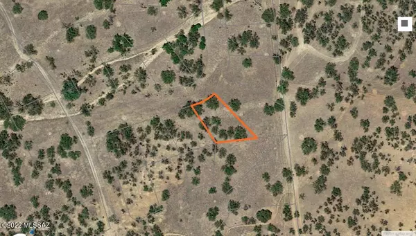 Nogales, AZ 85621,TBD KINO SPRINGS #91