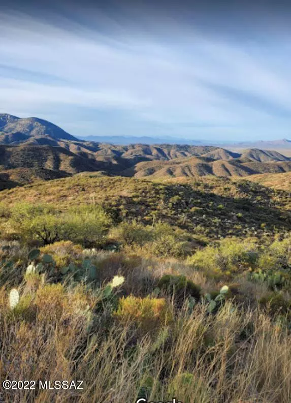 Saddlebrooke, AZ 85739,00 S Golder Dam RD