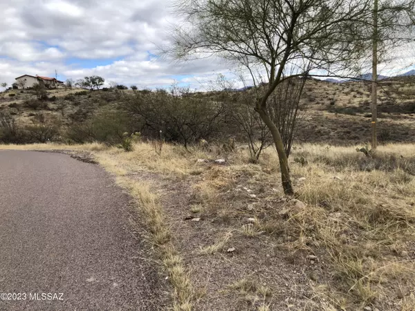 Rio Rico, AZ 85648,1131 Luz CT #6