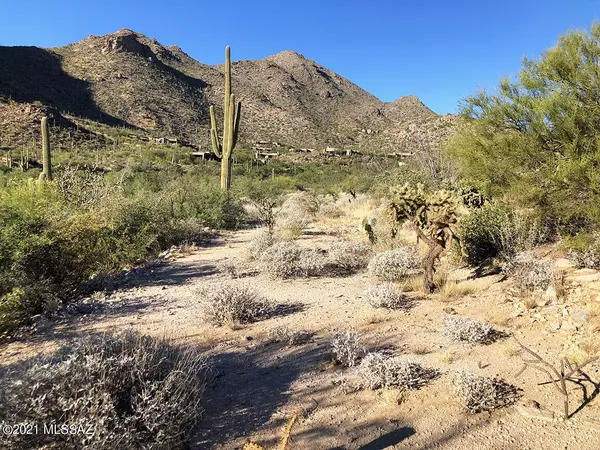 Marana, AZ 85658,14562 N Dove Canyon Pass #47/48