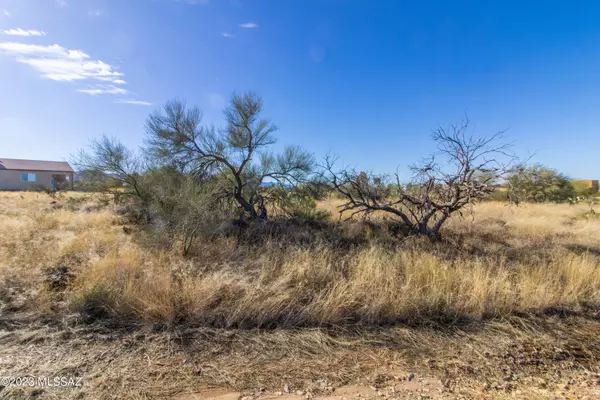 Corona De Tucson, AZ 85641,107 S Montgomery AVE #79