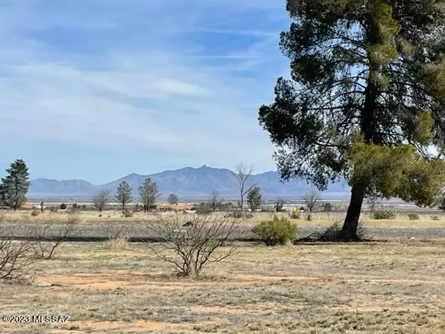 Pearce, AZ 85625,TBD E Geneva ST #12