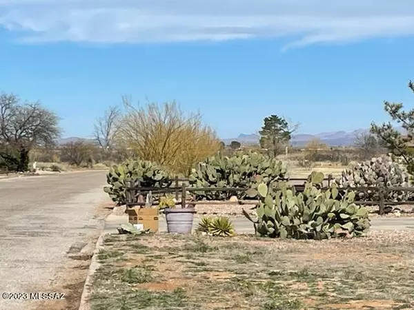 Pearce, AZ 85625,TBD E Geneva ST #12