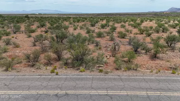 Rio Rico, AZ 85648,378 Camino Josefina #43