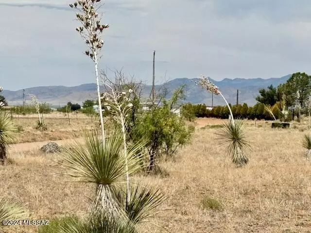 Pearce, AZ 85625,13250 S Ft Mohave #.