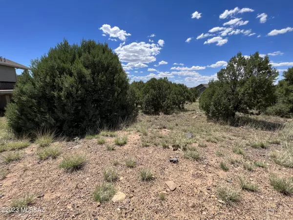 Show Low, AZ 85901,580 S Rock Ridge DR #76