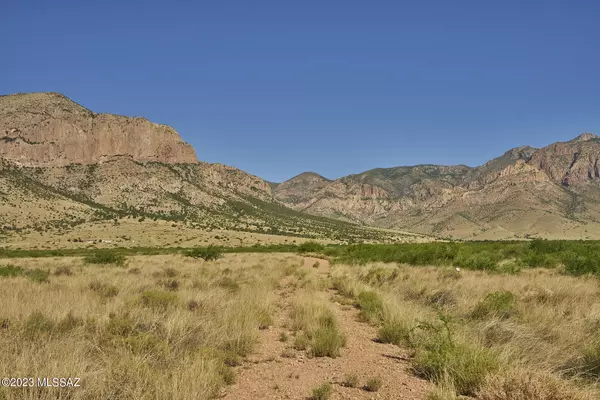 Portal, AZ 85632,36.2 Acre Sulphur Canyon Road #21
