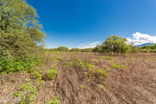 Tubac, AZ 85646,TBD Calle Belderrain #180/181