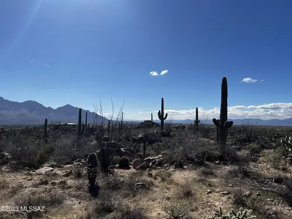 Tucson, AZ 85755,1741 Tortolita Mountain CIR #507