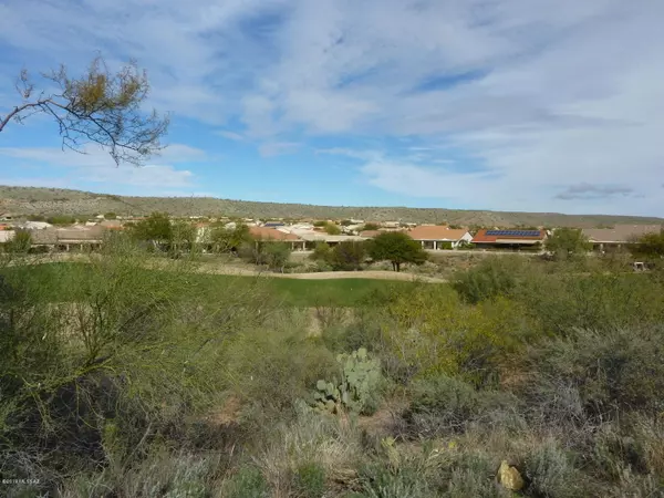 Saddlebrooke, AZ 85739,38006 S Desert Highland DR