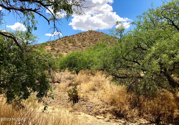 Vail, AZ 85641,17765 S Copper Cut TRL