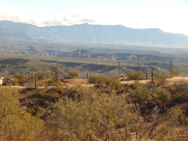 Mammoth, AZ 85618,Barrows PL #0