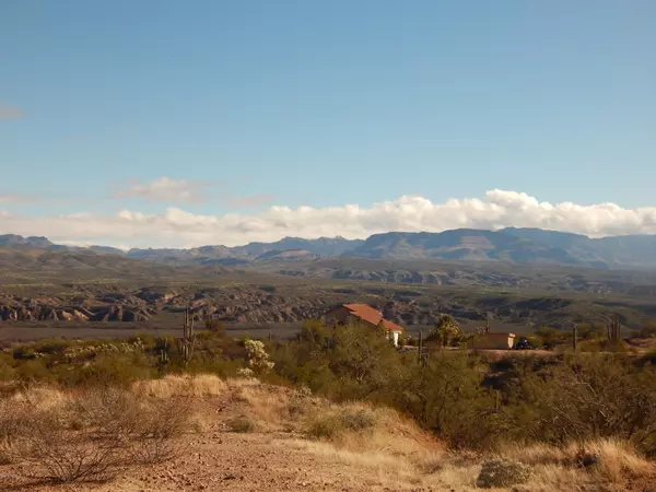 Mammoth, AZ 85618,Barrows PL #0