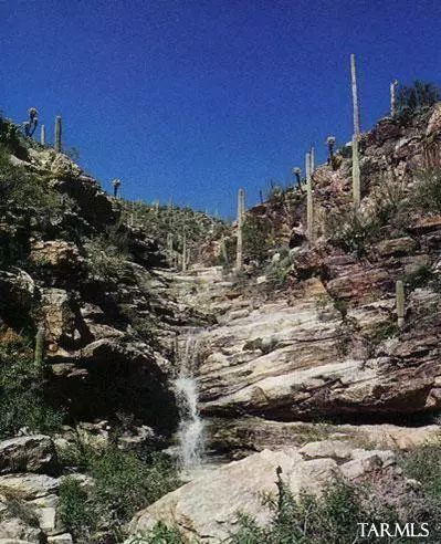 Tucson, AZ 85749,5383 N Falcon Crest PL